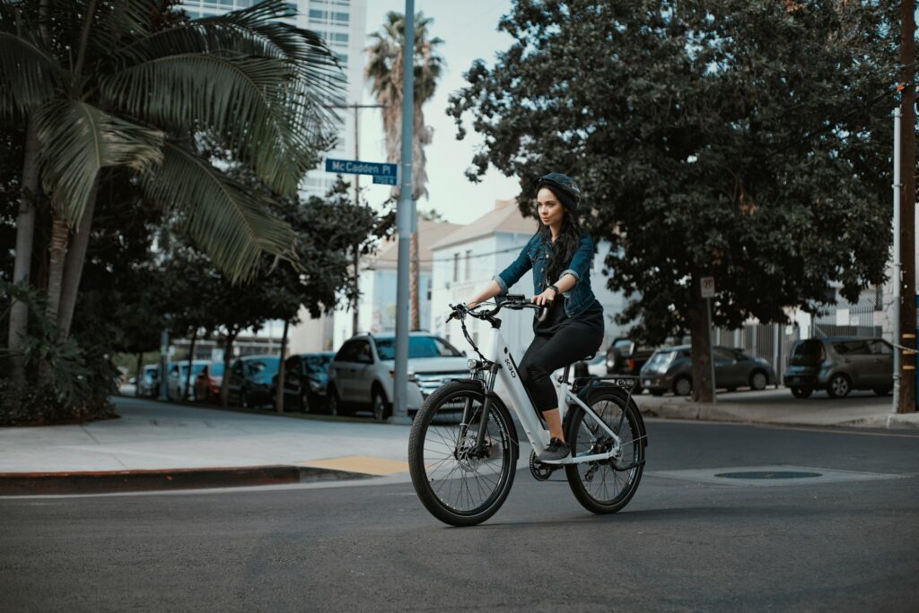 accu elektrische fiets reviseren accu elektrische fiets reviseren