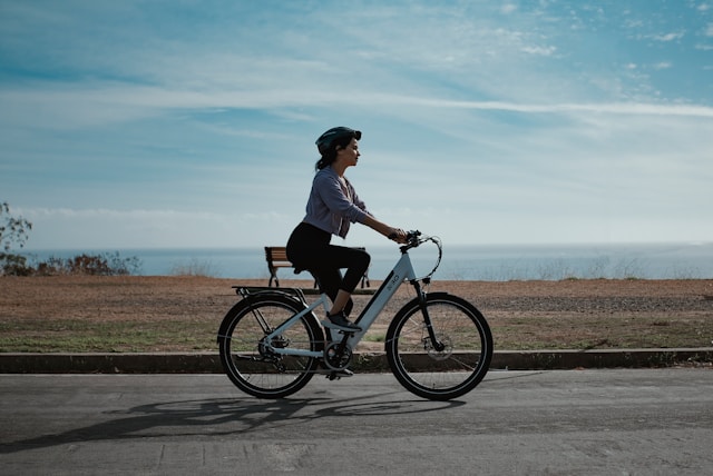 accu elektrische fiets reviseren